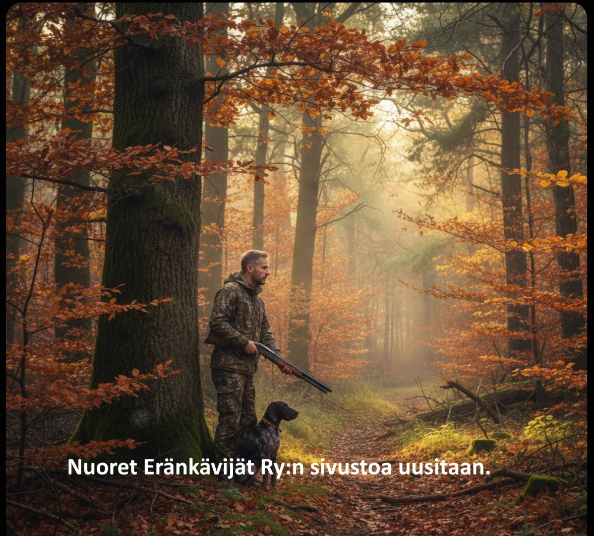 Metsä